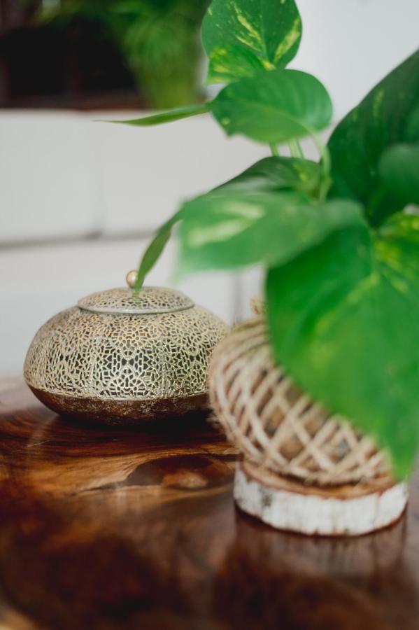 Phantom Suites Playa del Carmen Zewnętrze zdjęcie